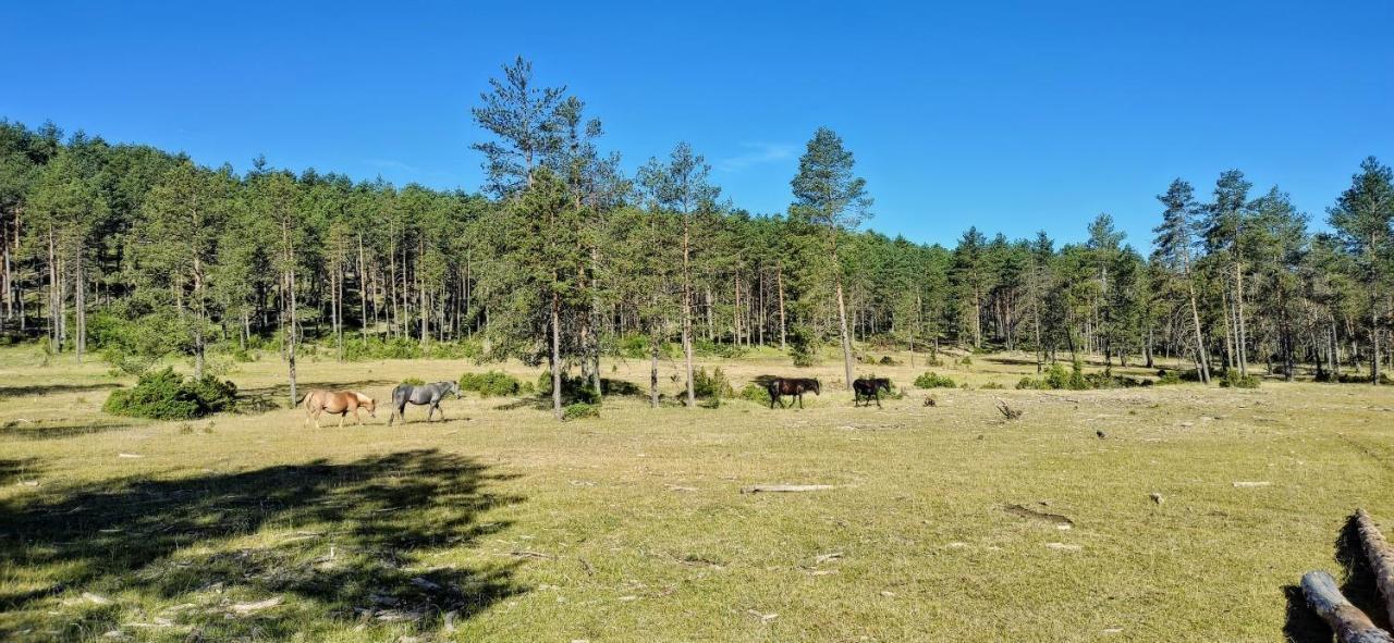 Alojamiento Rural Los Gancheros Tragacete Extérieur photo