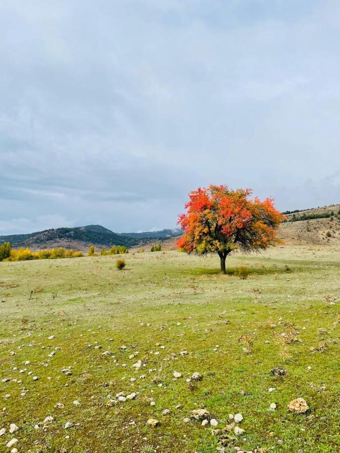 Alojamiento Rural Los Gancheros Tragacete Extérieur photo
